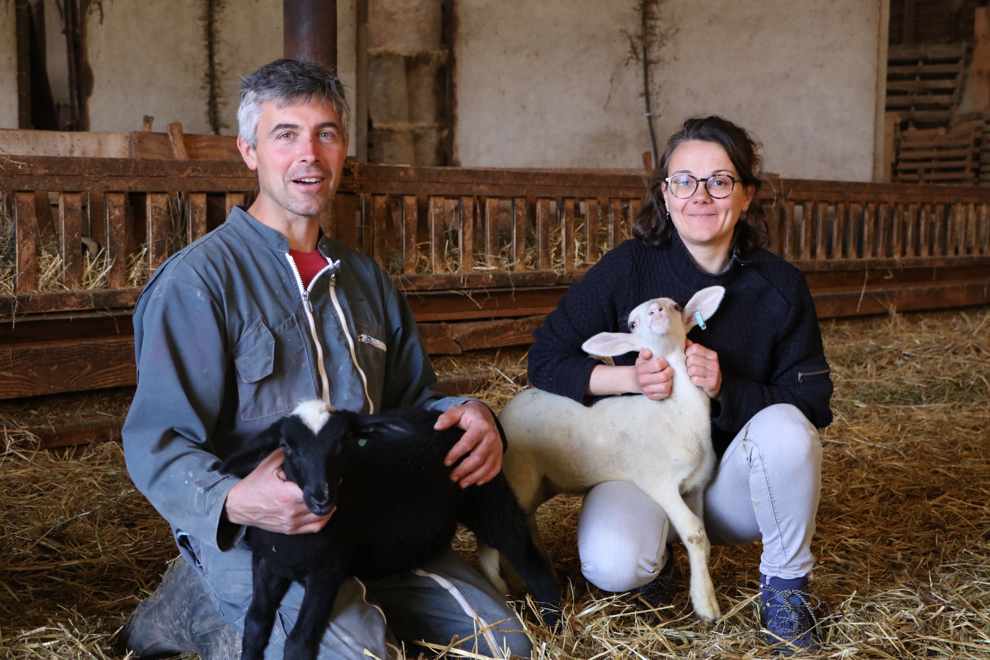 Image de diapositive